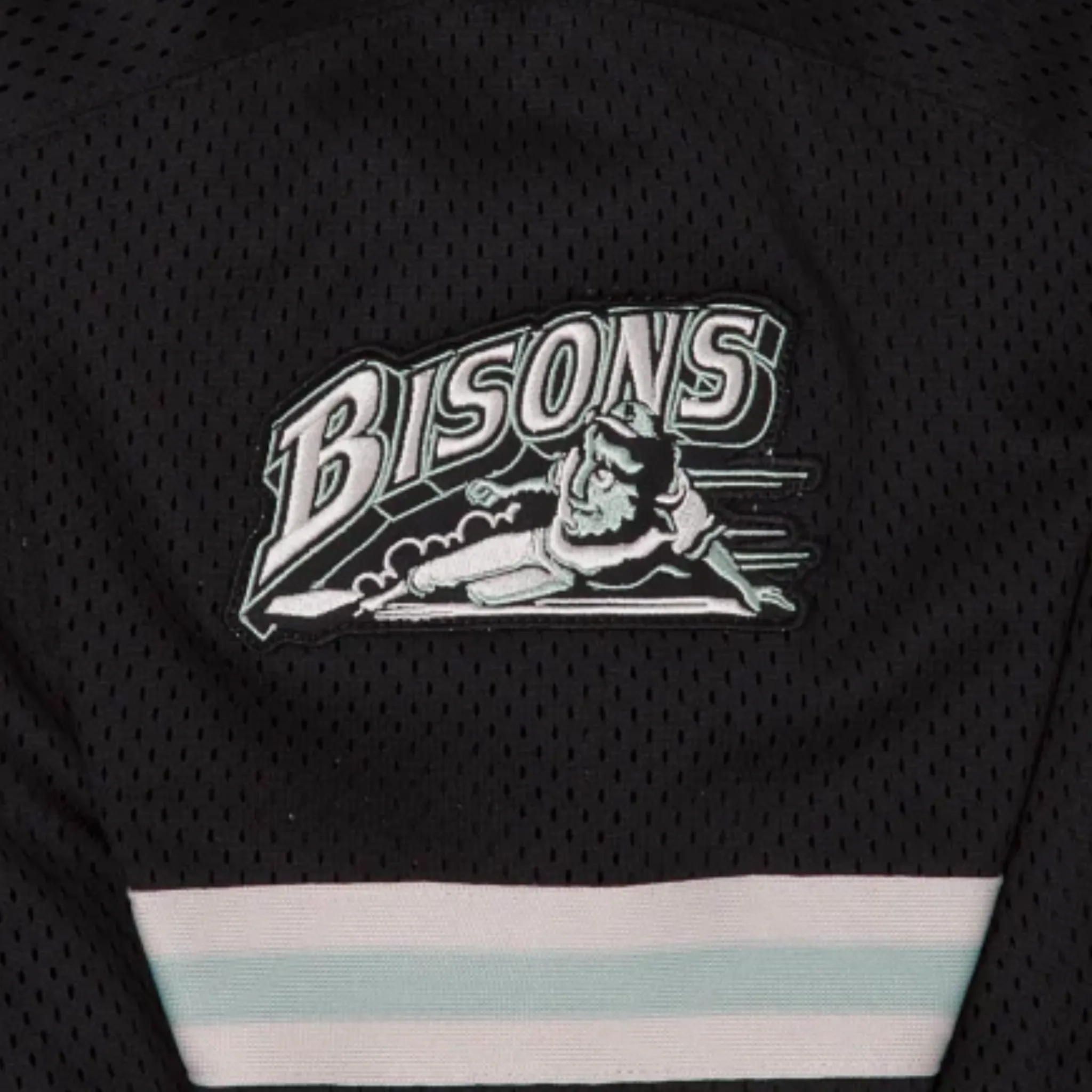 New Era Buffalo Bisons Hometown Roots Jersey