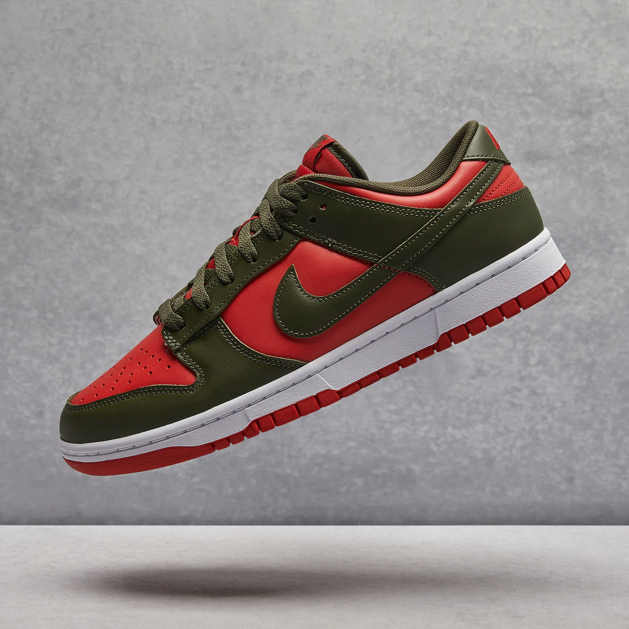 Nike Dunk Low Retro Shoes